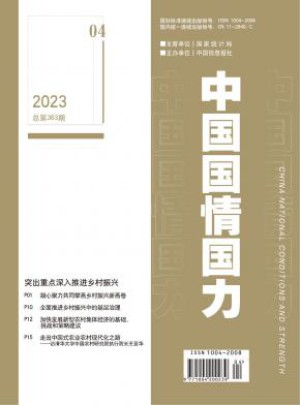 中国国情国力